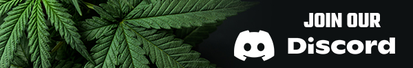毒枭模拟器|V1.2.23-黑市繁荣之路|Drug Dealer Simulator插图 毒枭模拟器|V1.2.23-黑市繁荣之路|Drug Dealer Simulator插图